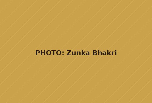 Zunka Bhakri
