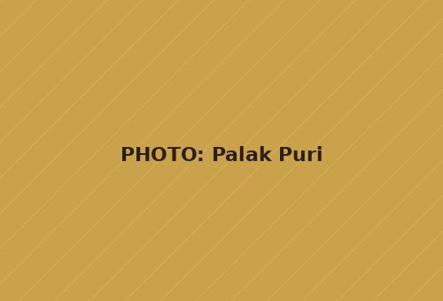 Palak Puri